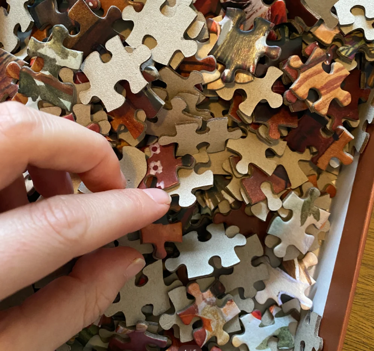 Puzzel Secret Garden - 1000 stukjes Illustratrice E. Bennink