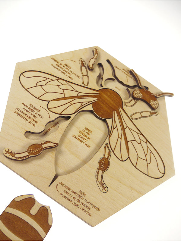 Puzzle en bois Anatomie de l'abeille Stuka Puka