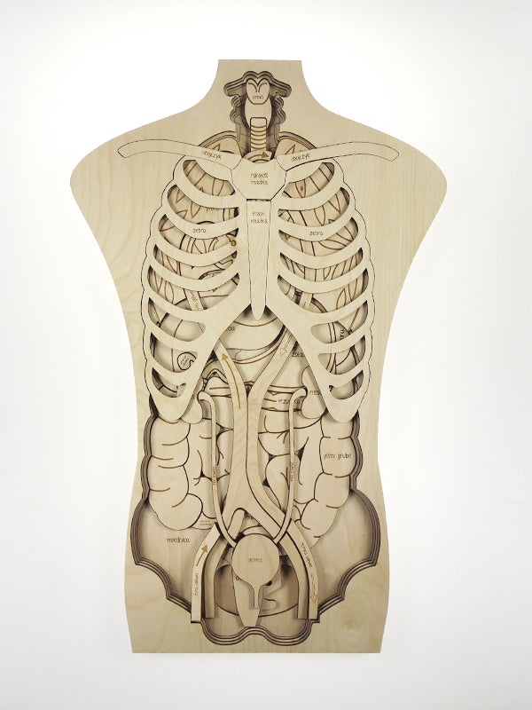 Puzzle géant Anatomie de notre corps Stuka Puka