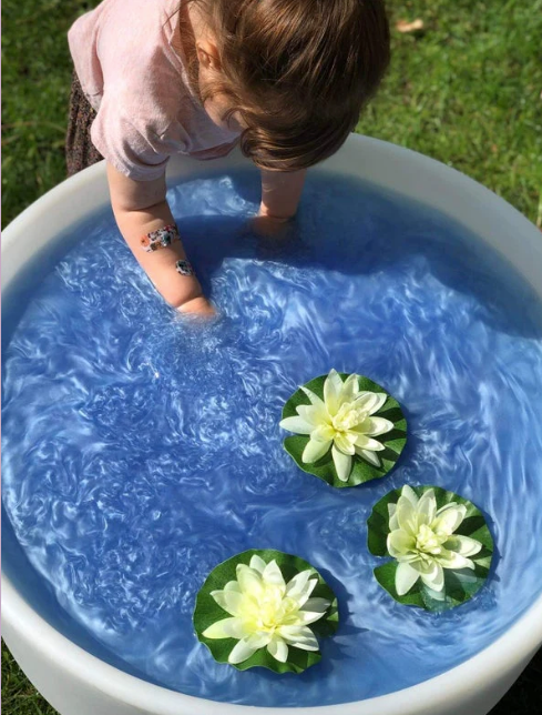 Sensus Lotus