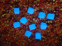 Kiddi Glaçons Phosphorescent pour jeu sensoriel - Lot de 10