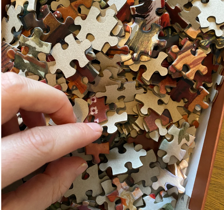 Puzzel Cosy Moment - 1000 stukjes Illustratrice E. Bennink