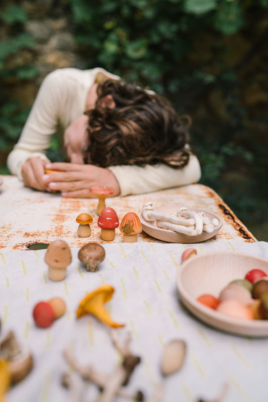 Grapat Mushroom Grow - Lot de 18