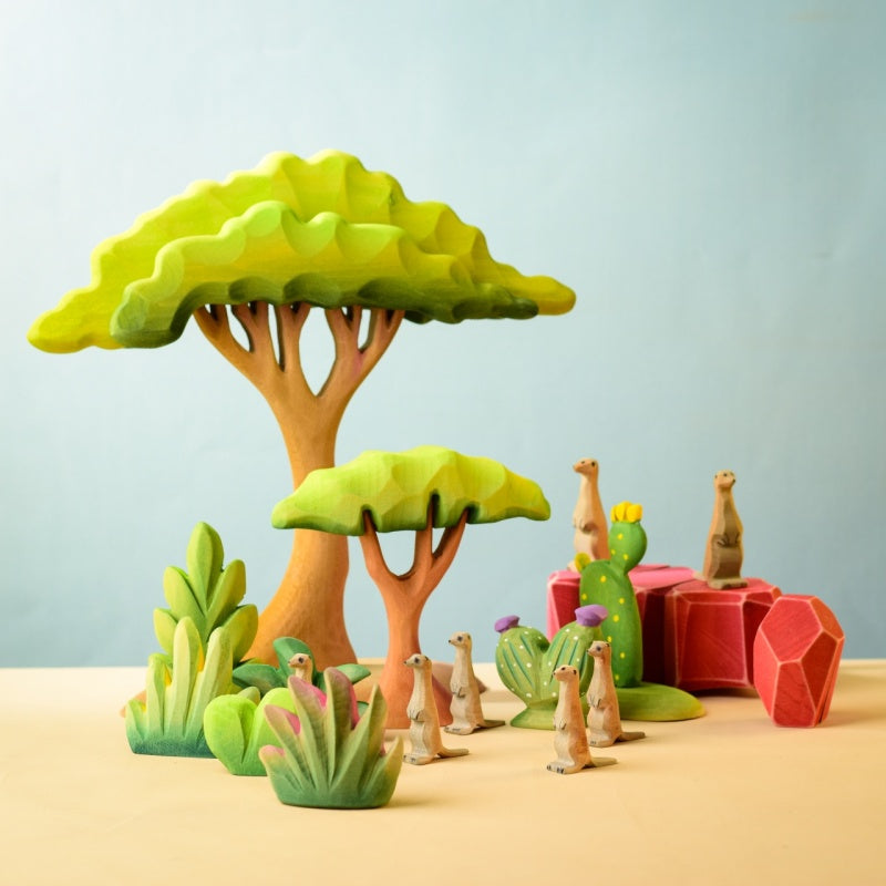 BumbuToys Arbuste de Thuya en bois