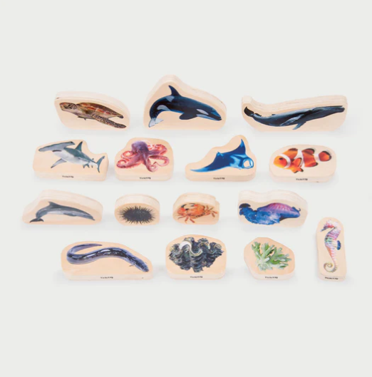 Tickit La vie Marine en bois - Lot de 15