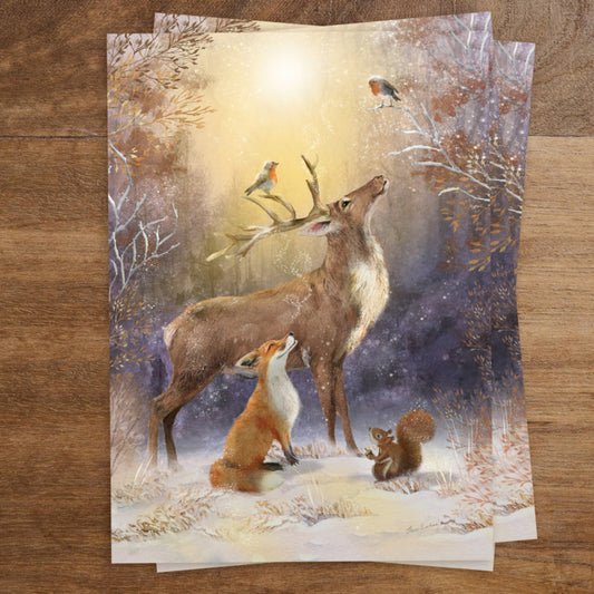 Carte Postale Winter Wonders