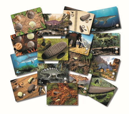 Cartes d'activités éducatives Découvrir les dents préhistoriques