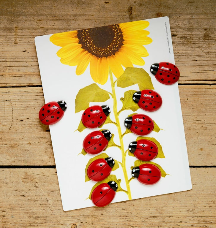 Cartes éducatives Apprendre à compter pour les pierres Coccinelles Yellow Door