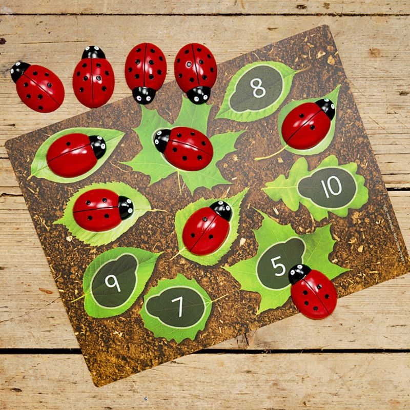 Cartes éducatives Apprendre à compter pour les pierres Coccinelles Yellow Door