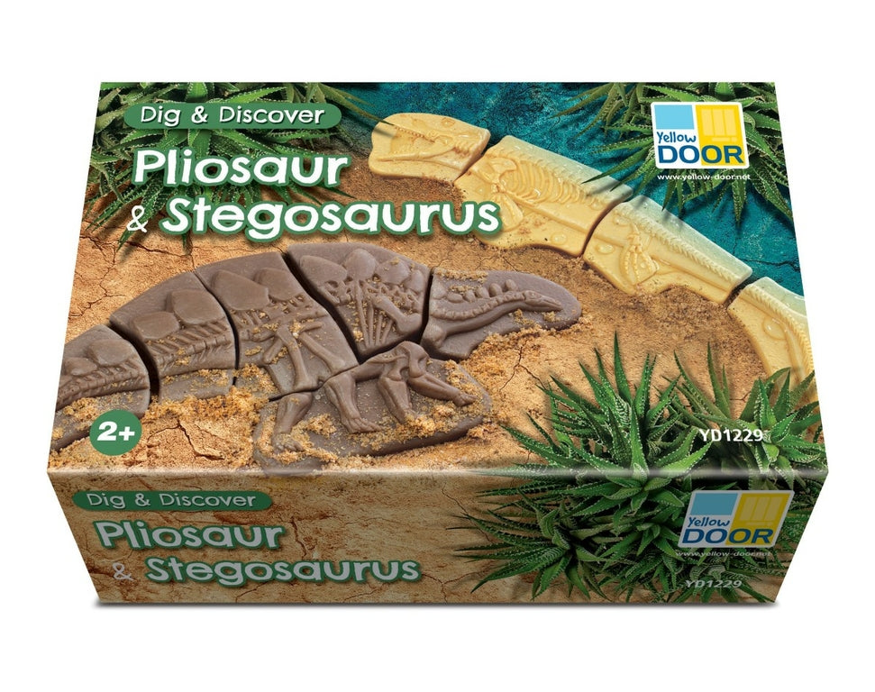 Creuser & découvrir Dinosaures - Pliosaure & Stegosaurus Yellow Door