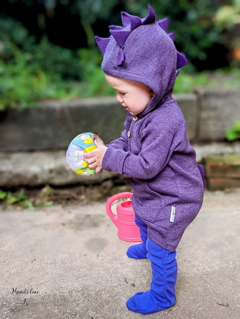 MANYMONTHS Pull à capuche DINO - coloris 2022