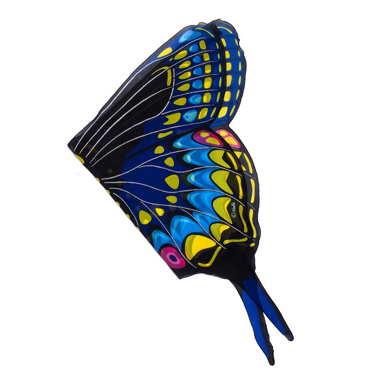Dreamy Dress Ups Ailes + Masque papillon machaon noir