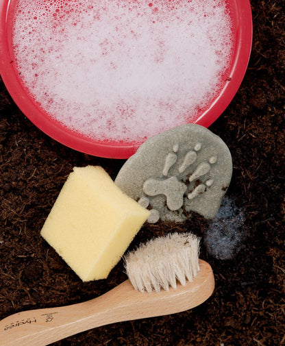 Empreintes animaux de la Forêt - A la découverte Lot de 8 pierres Yellow Door