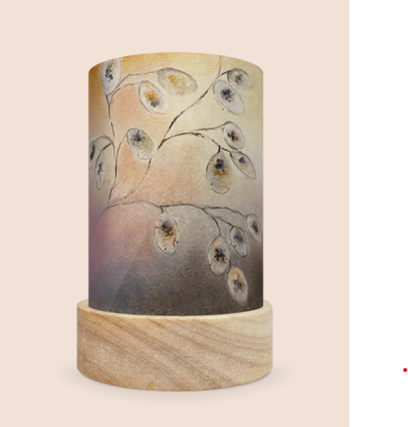 Image Light Wish - Money Plant - Illustration Baukje Exler