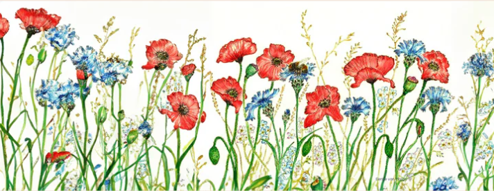 Image Light Wish - Wild Flowers - Illustration Eentje Van Margo