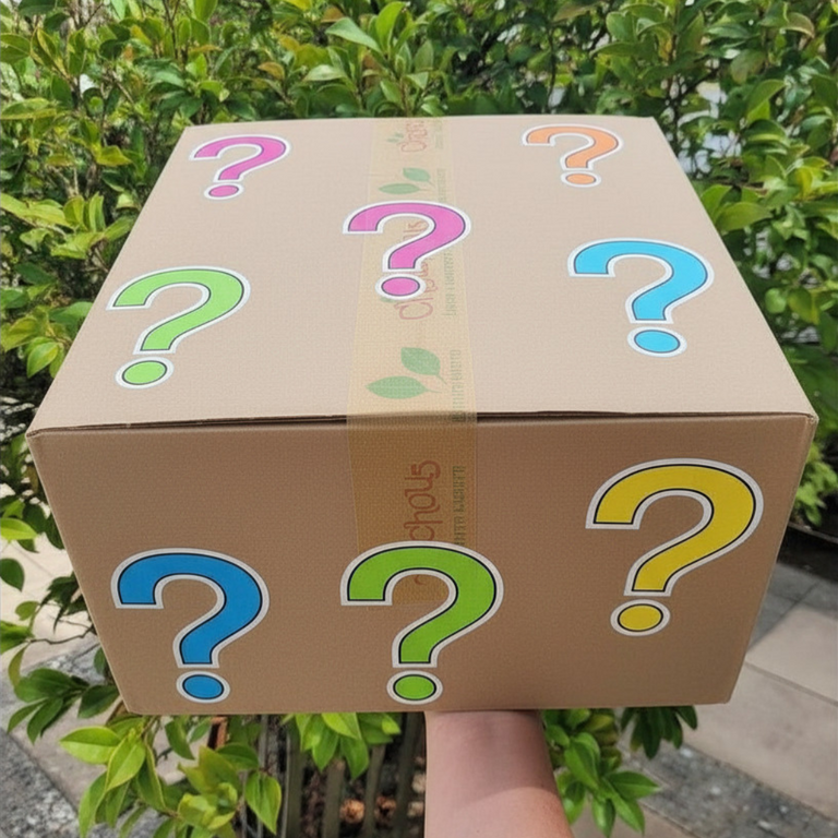 Mysterybox Déco - Papeterie