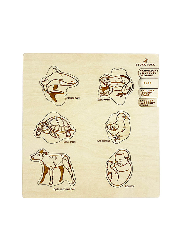 La vie utérine - puzzle éducatif à couches Stuka Puka