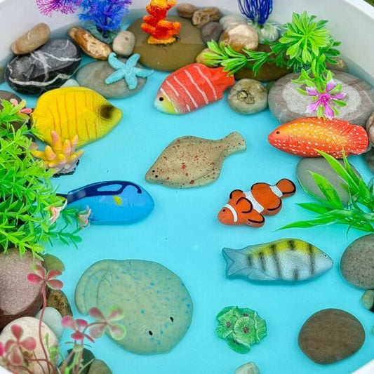 Poissons Pierres sensorielles Lot de 8 Yellow Door