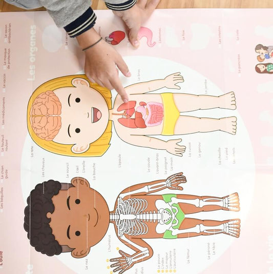 Poster géant + 49 stickers Le corps humain Poppik