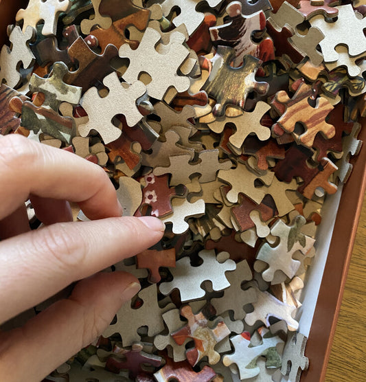 Puzzle Cosy in the Woods - E. Bennink - 1000 pièces