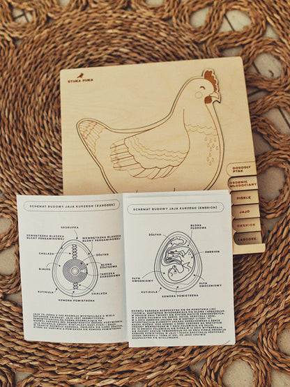Puzzle multicouches le Cycle de vie de la poule Stuka Puka