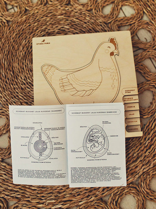 Puzzle multicouches le Cycle de vie de la poule Stuka Puka