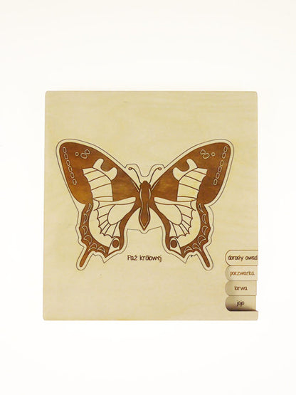 Puzzle multicouches le Cycle de vie du papillon Stuka Puka