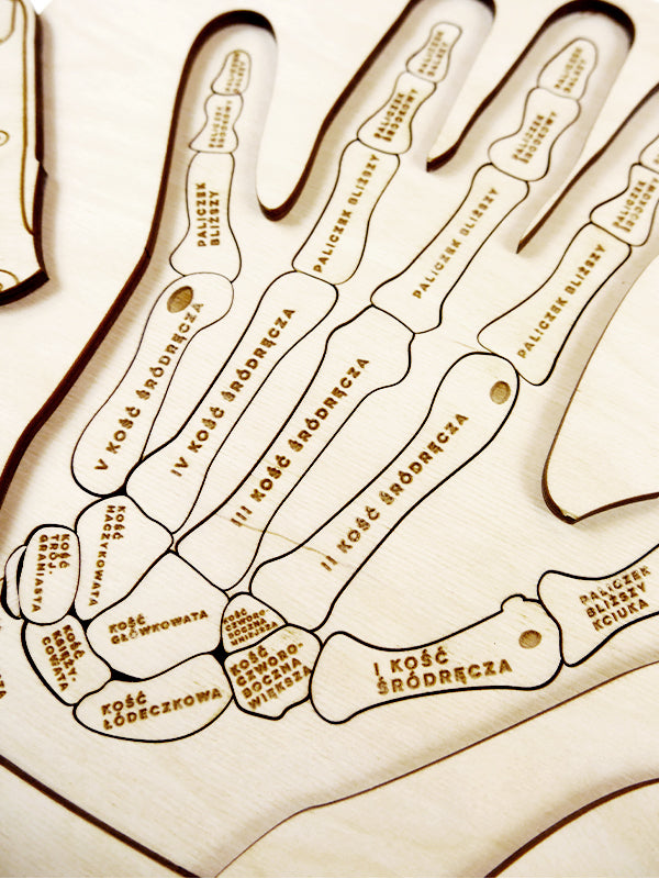 Puzzle Stuka Puka L'anatomie de la main