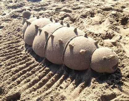 Sand Shapers Lot de 4