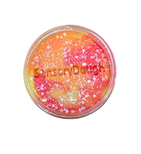 Senorydough Pâte à modeler avec paillettes Jaune/rouge/orange