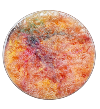 SensoryPopp Grains crépitants pour jeu sensoriel - 50gr