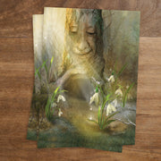 Carte Postale Perce-Neige