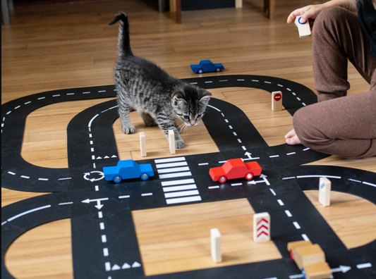Way to Play Panneaux de signalisation